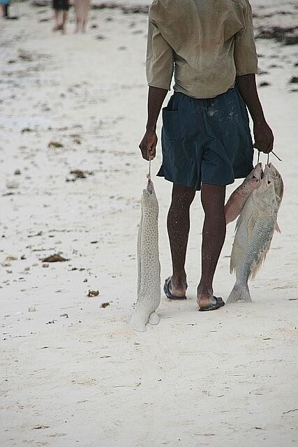 Galeria Tanzania - Zanzibar - Chcielibyście znaleźć raj?, obrazek 39