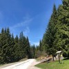 Planina Golija