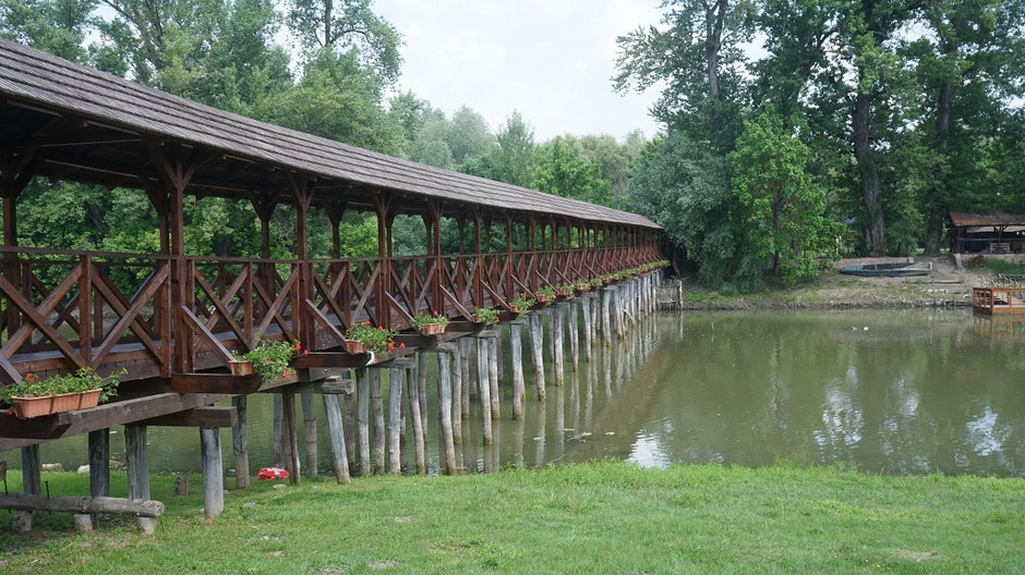 Most w miejscowości Kolárovo w Słowacji to najdłuższa tego typu drewniana konstrukcja w Europie.