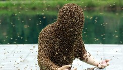 5 world records that are almost impossible to break