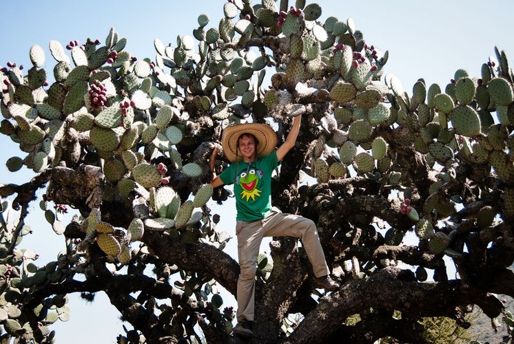 Opuncja z owocami tuna, Ajacuba, Meksyk; fot. T. Bogusz / Pirania na kolację