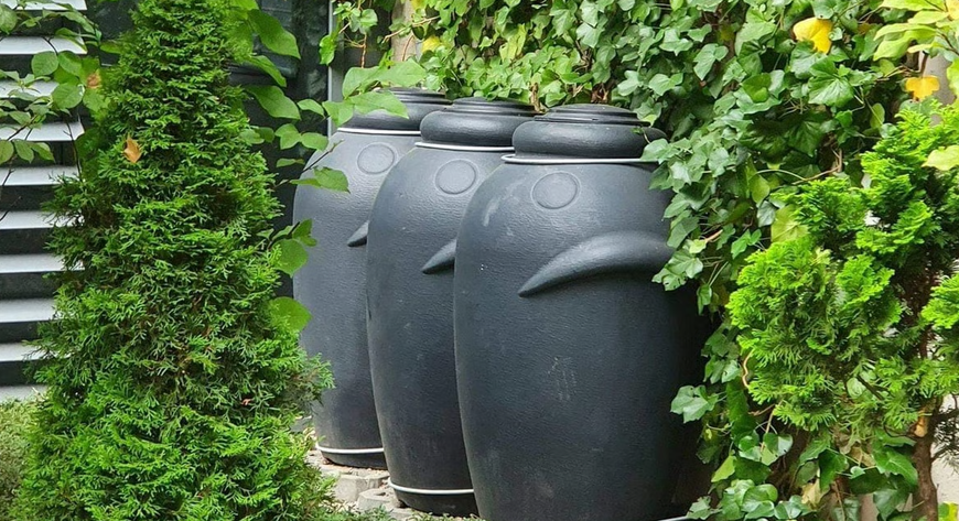 Warto łapać deszcz, a żeby to zrobić można pozyskać dotacje z miasta