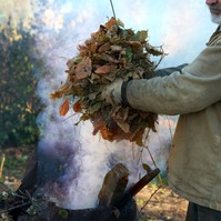 Egy zsák levél, tízszeres szmog: ezért kellene azonnal abbahagyni az avarégetést