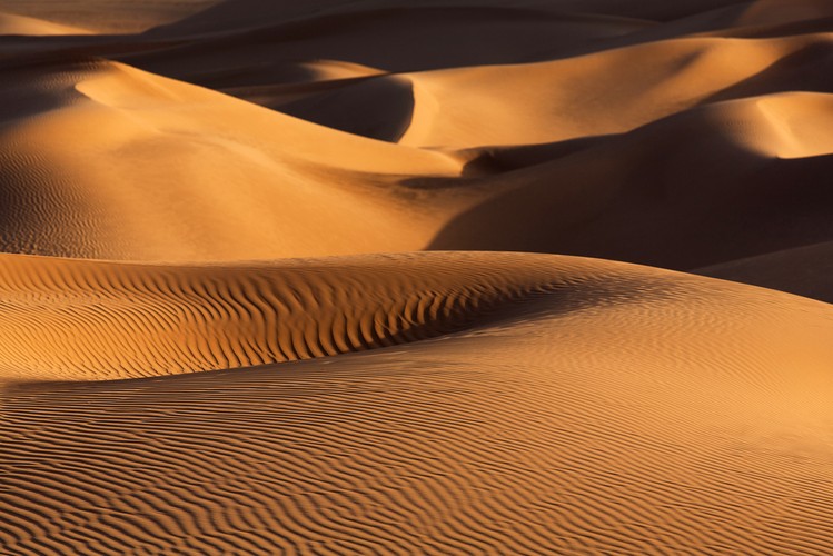 Powierzchnia kraju będącego najważniejszym producentem ropy naftowej jest 6 razy większa niż Niemiec. Arabia Saudyjska jest 13 największym państwem na świecie i drugim największym w Afryce Saharyjskiej. Jej powierzchnia wynosi 830 tys. mil kwadratowych. Jednakże 95 proc. kraju pokrywają obszary pustynne lub pół-pustynne.