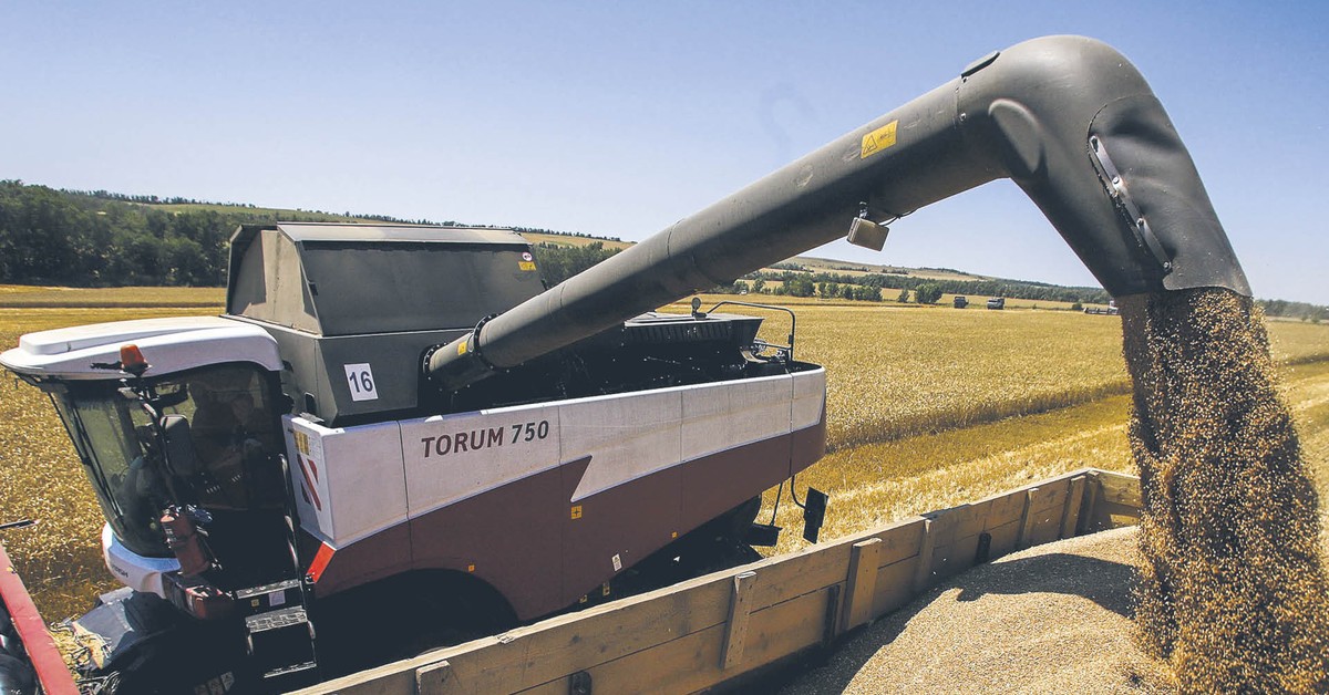 Dobra wiadomość dla konsumentów – globalne ceny żywności spadają