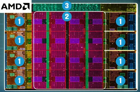 AMD Ryzen 5800X ma osiem rdzeni Zen 3 o takiej samej mocy (1). Wszystkie mają dostęp do 32-megabajtowej pamięci podręcznej (2). Transferem danych z innymi komponentami steruje kontroler pamięci (3). Ten CPU AMD nie ma chipa graficznego