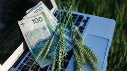 kto nie złoży wniosku w terminie, straci pieniądze. po tej dacie wnioski przepadają arimr ewniosek plus pue dopłaty bezpośrednie 2026