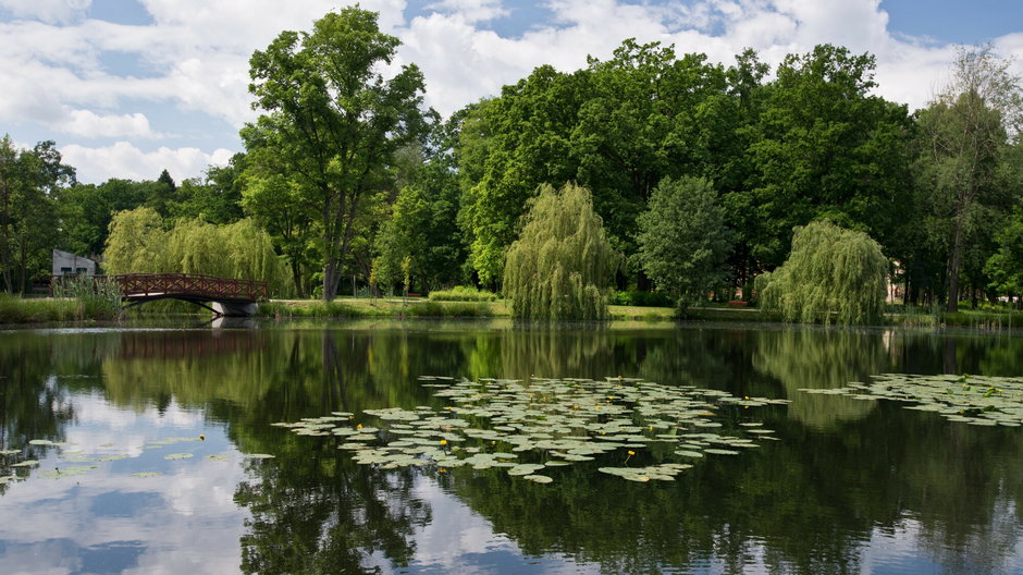 Żmigród, Park Krajobrazowy Dolina Baryczy