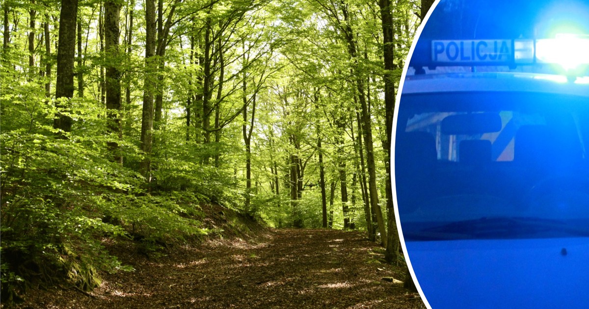 Feralna niedziela. Dwa makabryczne znaleziska w różnych częściach Polski