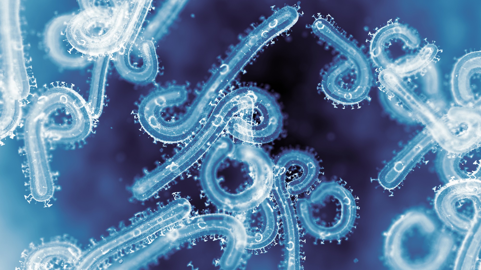 V Etiópii potvrdili prvé ohnisko marburského vírusu. (ilustračné foto).