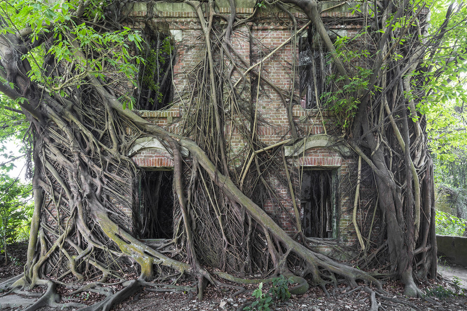 "Naturalia II". Ruina domu na Tajwanie