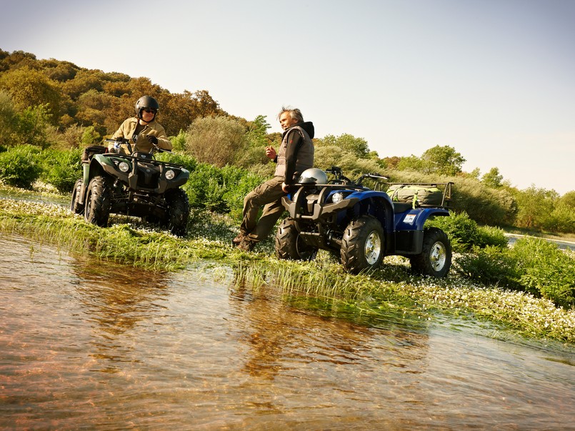 YAMAHA GRIZZLY 450 EPS