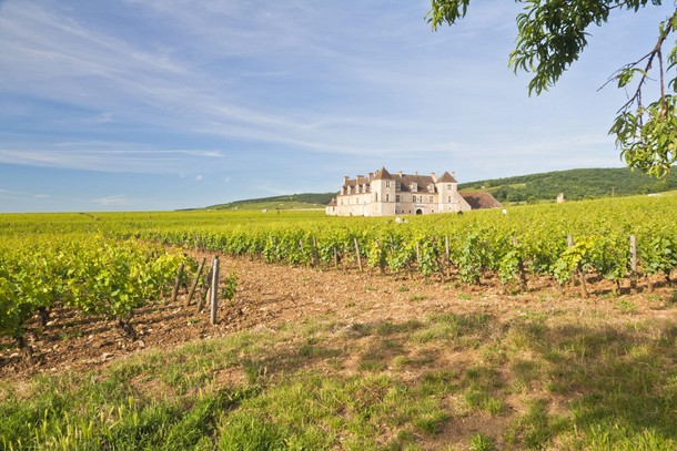 Castle Clos de Vougeot