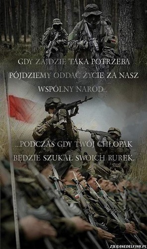 Galeria najlepszych memów tygodnia