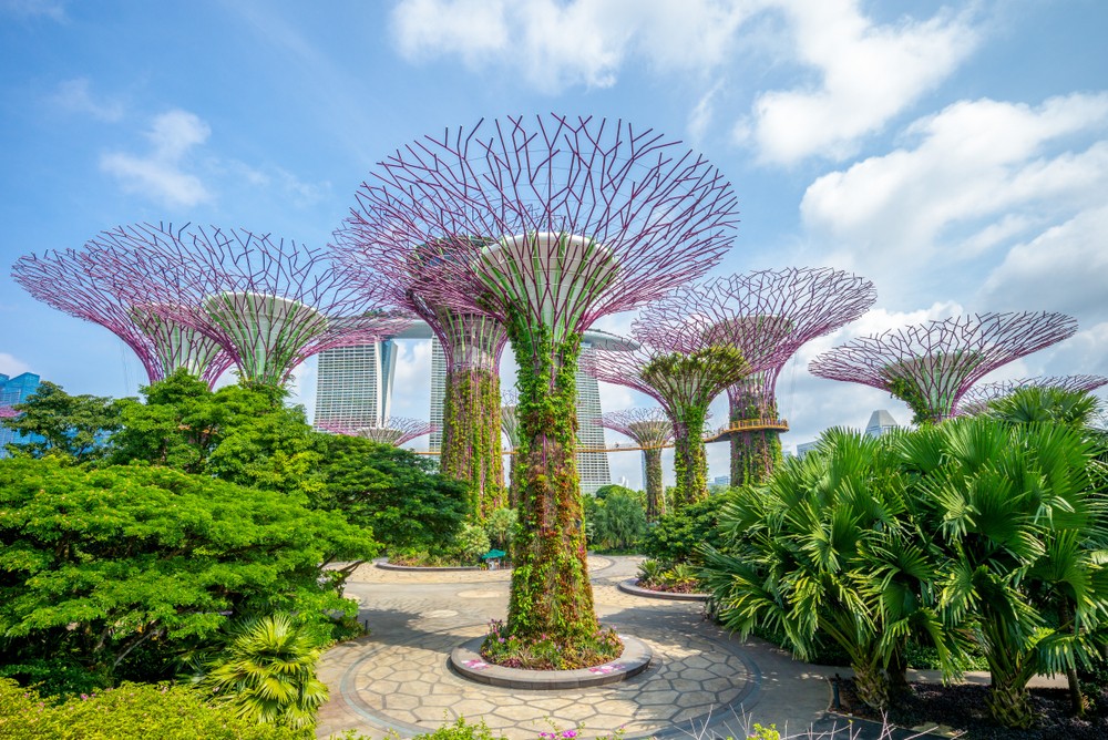 Gardens by the Bay, Singapur