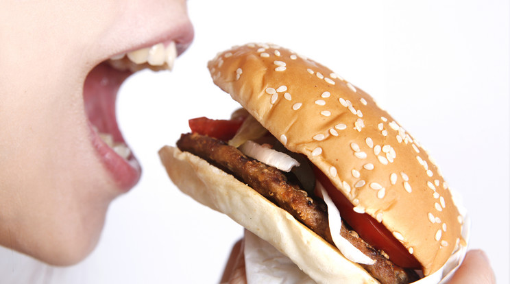 A marihuána hatóanyagával felturbózott burgert dobnak piacra Amerikában  /Fotó: Nortfoto