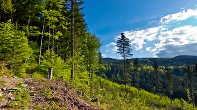 Rusza sezon przeglądów kolei linowych w Beskidach