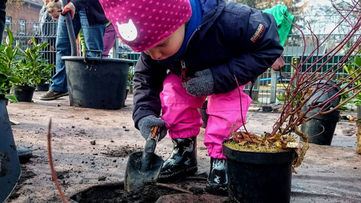 "Zasadź się na zieleń" to hasło nowej inicjatywy Zarządu Zieleni Miejskiej, który w najbliższą sobotę, 18 marca, wspólnie z mieszkańcami rozpocznie cykliczne akcje sadzenia drzew, krzewów i kwiatów.