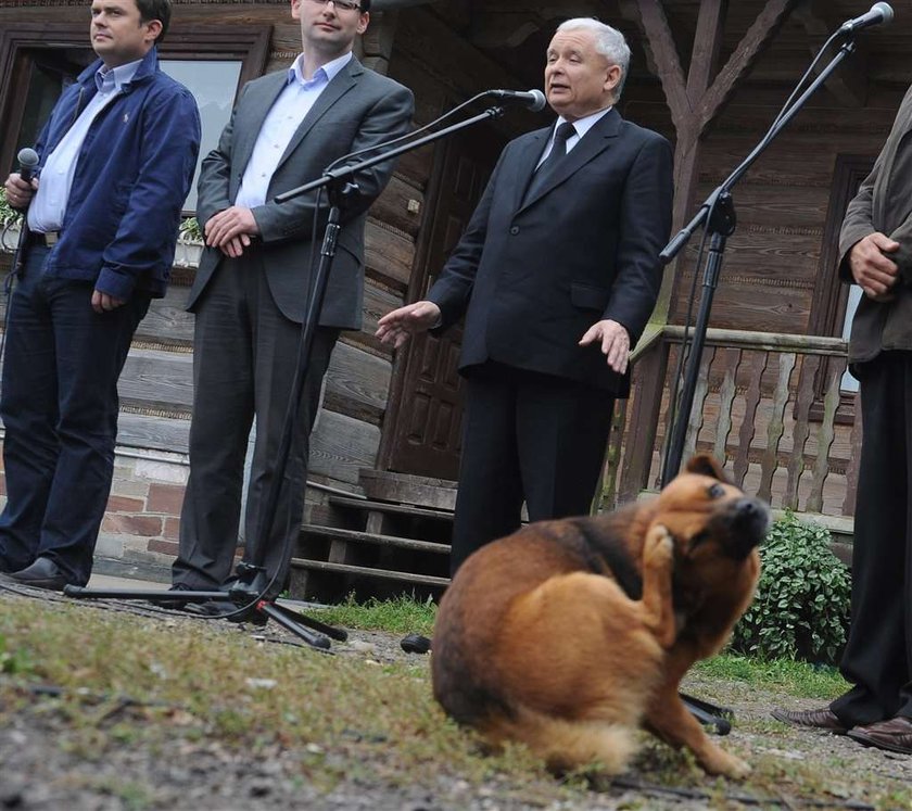 Są wybory, jest lans! Oto, jak promują się politycy