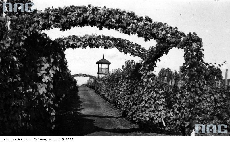 Zaleszczyki - polski biegun ciepła