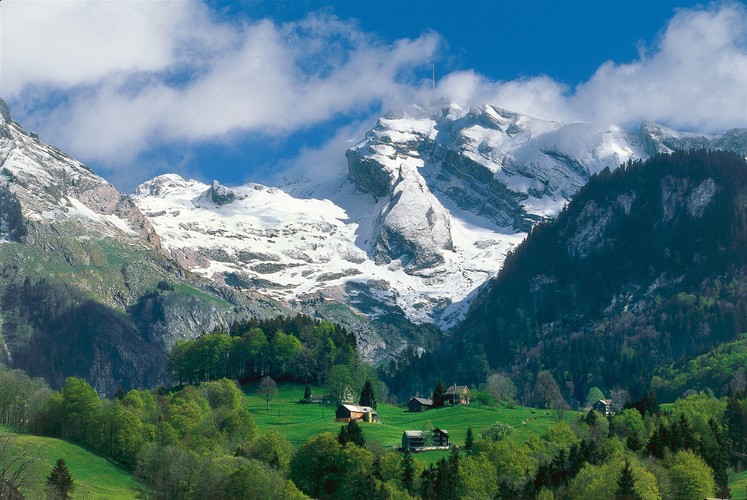 Natura na wyciągnięcie ręki