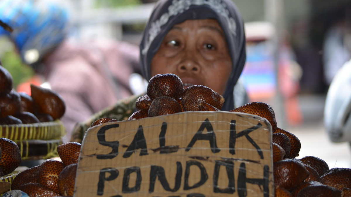 Salak to przysmak w Indonezji, a w Europie jest owocem praktycznie nieznanym i trudno dostępnym. Zawiera dużo węglowodanów, wapnia, fosforu, potasu, żelaza, witaminy A i C. Jest smakołykiem pielgrzymów.