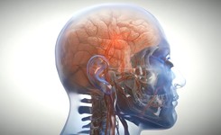 Strategiczne czy łamigłówki? Które gry lepiej wpływają na mózg młodszych i starszych?