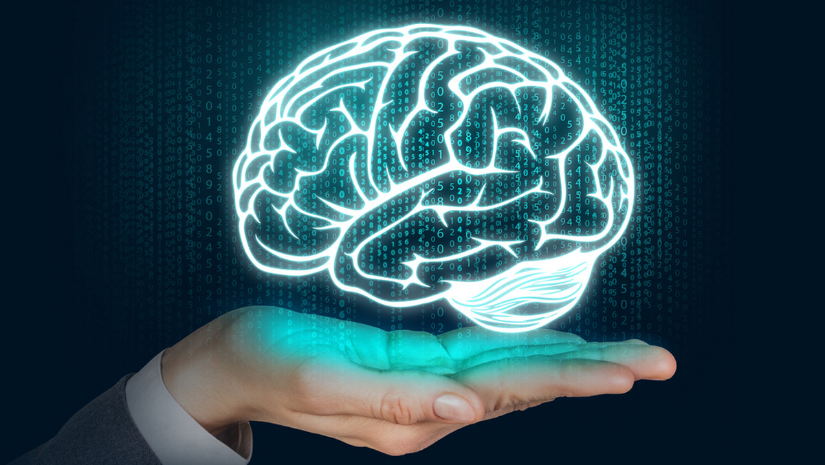 Wpływ nowoczesnych technologii na mózg będzie tematem 7. edycji szczecińskiego Dnia Mózgu. Wykłady otwarte poprowadzą m.in. neurolodzy, psychiatrzy, a także fizyk i językoznawca.