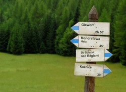 Aplikacja na komórkę oprowadzi cię po Tatrach