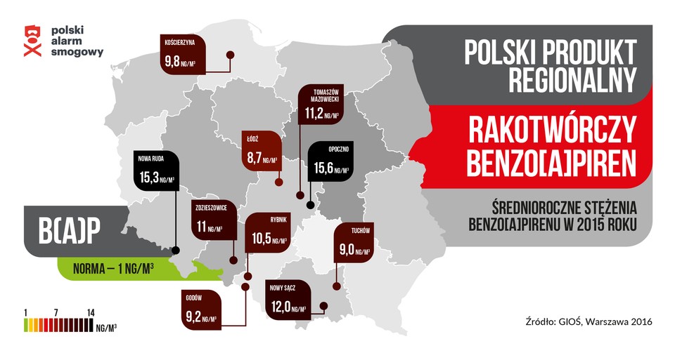 Jak Opole walczy ze smogiem? [Przeczytaj tekst Joanny Matlak]