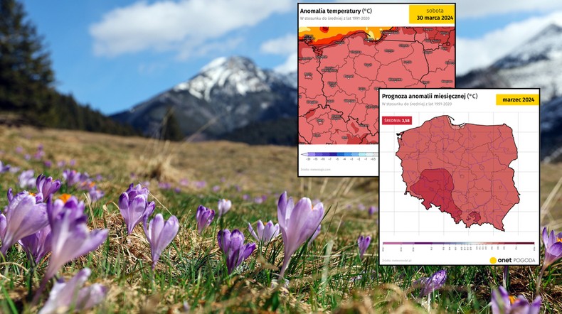 Rośnie szansa na rekordowy marzec. Symulacje są jednoznaczne (mapy: meteologix.com/meteomodel.pl)