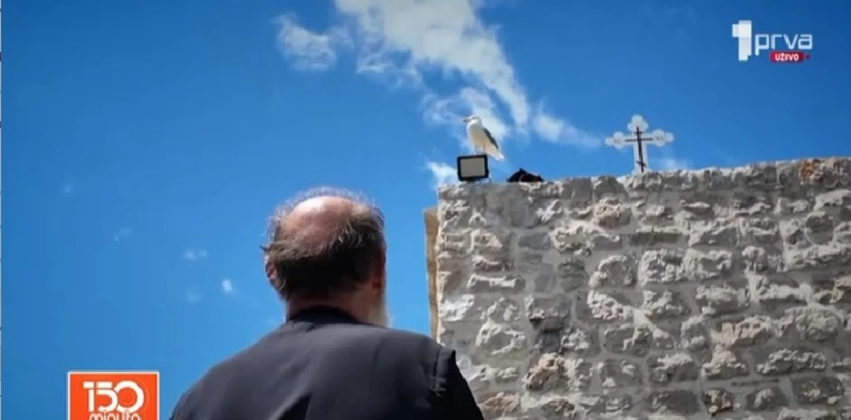 U danima zimske usamljenosti, društvo mu prave dva galeba