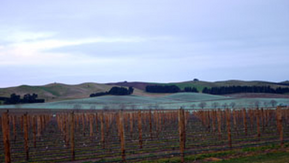 Mówią, że w Central Otago w Nowej Zelandii jest zbyt chłodno dla dojrzewających winogron. Mimo to w tamtejszych winnicach, wysuniętych najdalej na południe na świecie, produkuje się wina zdobywające uznanie.