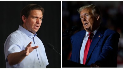 Ron DeSantis (left) and Donald Trump (right).Scott Olson, Jeff Swensen/Getty Images