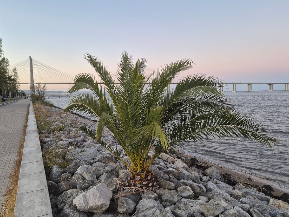 Tak Polacy chcą podróżować w 2026 r. Ma być luksusowo