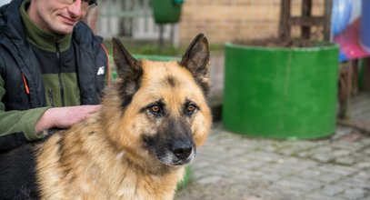 Serce dla zwierzaka. Stolica zachęca do adopcji