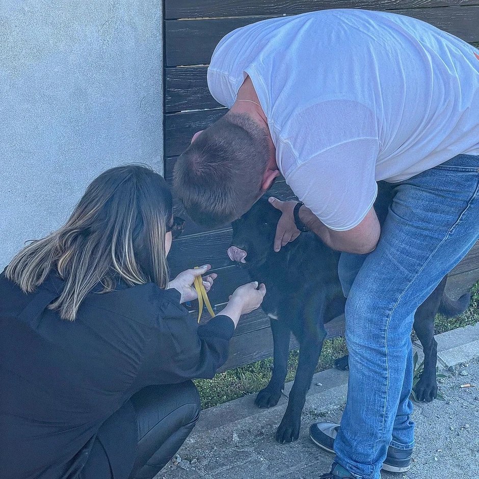 Na mladima Srbija ostaje