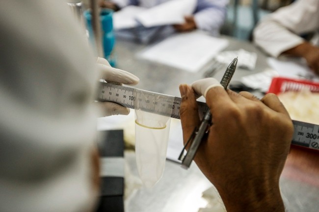 Z wizytą w fabryce prezerwatyw