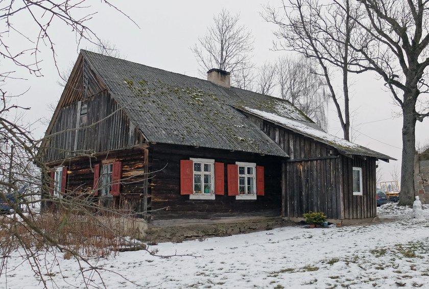 Zwyrodnialec zastrzelił nasze pieski