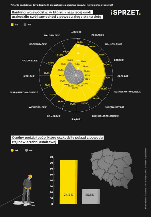 stan polskich dróg infografika