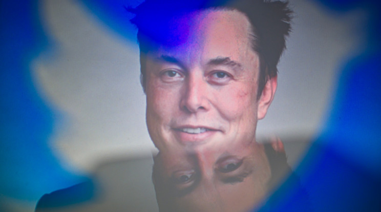 Elon Musk nagy áremeléseket tervez a Twitternél / Fotó: Northfoto