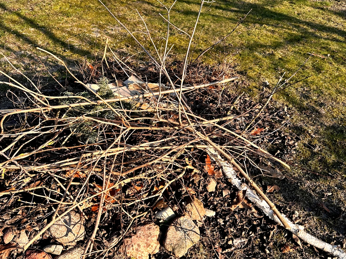 Palenie gałęzi na posesji 2025 - czy można palić gałęzie na własnej posesji na wsi? Kiedy można palić gałęzie na działce? Jaka kara za palenie gałęzi?