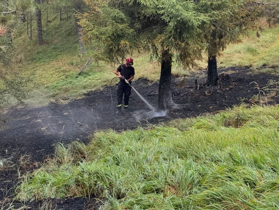 Šumski požar izbio na Tari