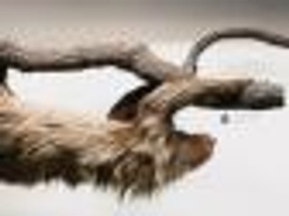 Evorevo 'Underpop' - recenzja