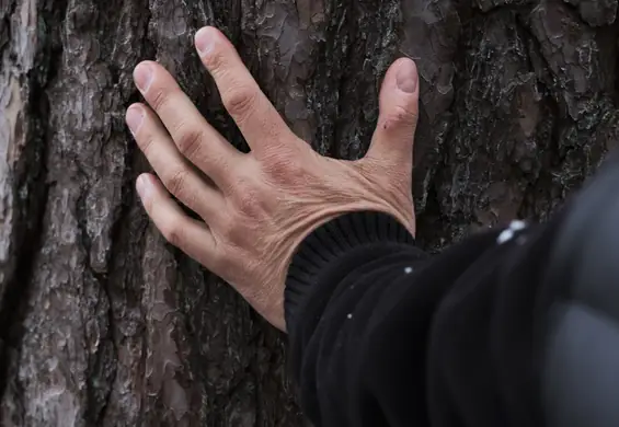 "Szukamy najlepszej ścieżki prawnej, która ochroni środowisko".  Zobacz film o pozwie klimatycznym