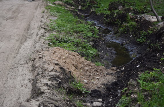 Rezerwat Przyrody Lasy Naturalne na południu Puszczy Białowieskiej.