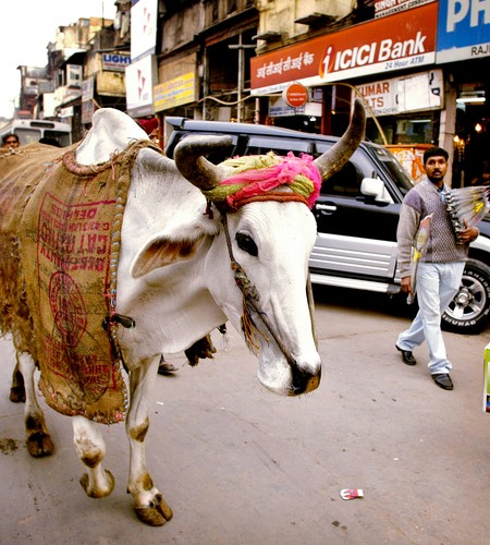 5. Indie. Indie przyciągnęły w 2012 r. aż 400 tys. pacjentów z innych krajów. Trudne operacje, takie jak pomostowanie aortalno-wieńcowe można tu wykonać za 10 proc. ceny takiego zabiegu w USA. Na zdjęciu: Ulica w Indiach