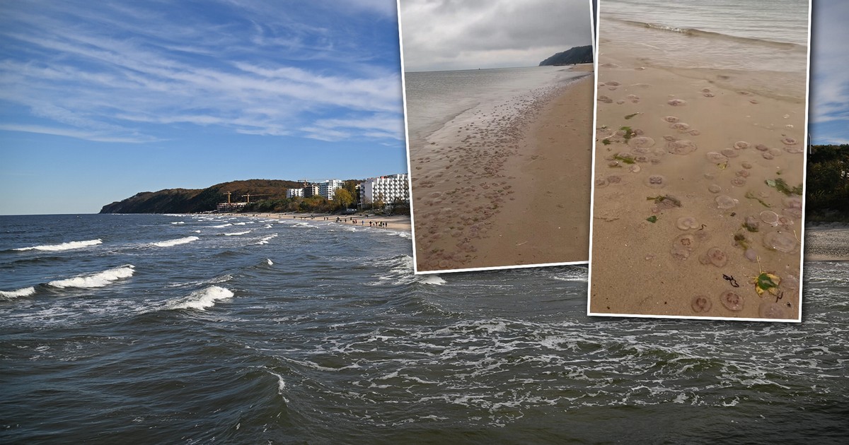 Polacy w szoku po tym, co zobaczyli na plaży. Zjawisko zachwyca i przeraża