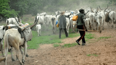Pandemonium in Edo community as herdsmen k*ll driver, kidnap others (TheCable)