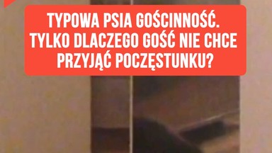 Typowa psia gościnność. Tylko dlaczego gość nie chce przyjąć poczęstunku?